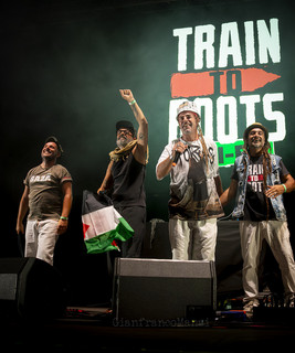 Train To Roots